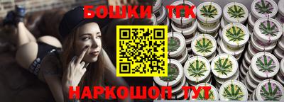 крисы Пенза