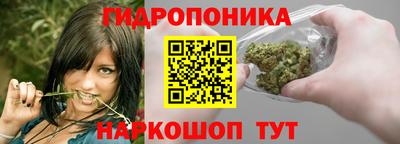 крисы Пенза