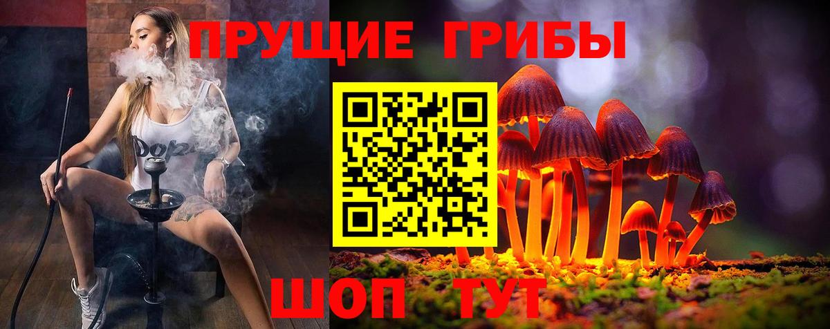 закладки  Псилоцибиновые грибы GOLDEN TEACHER  Вход с VPN  Россошь 